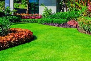 Tại sao nên sử dụng dịch vụ của Lk Landscape | Dịch vụ cắt cỏ sân vườn