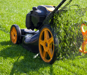Dịch vụ cắt cỏ hoang | Cắt cỏ phát hoang khu công nghiệp