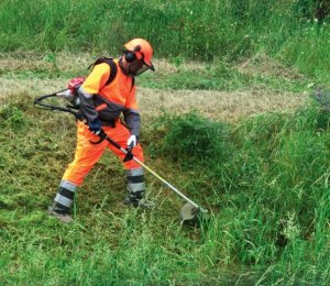 Dịch vụ cắt cỏ hoang | Cắt cỏ phát hoang khu công nghiệp