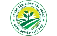 Trung Tâm Giống Cây Trồng Việt Nam